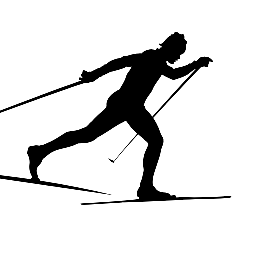 Logo for Langrenn.nu i hvitt
